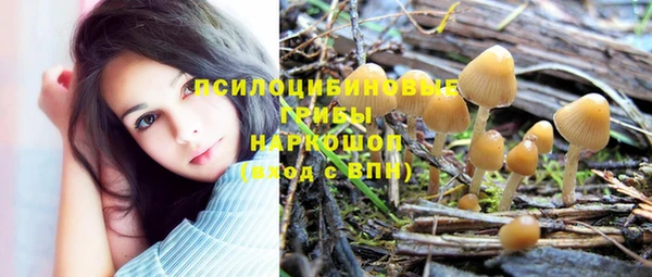 jwh Беломорск