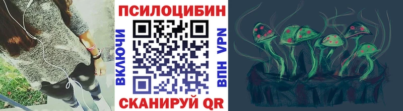 дарнет шоп Благодарный Псилоцибиновые грибы прущие грибы