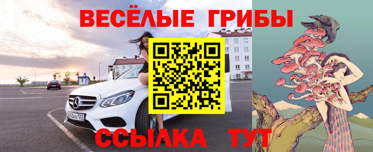 Псилоцибиновые грибы ЛСД Благодарный