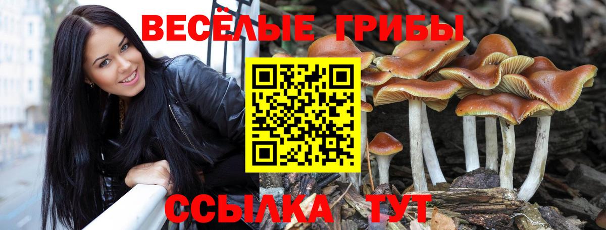 Псилоцибиновые грибы MAGIC MUSHROOMS  Благодарный 