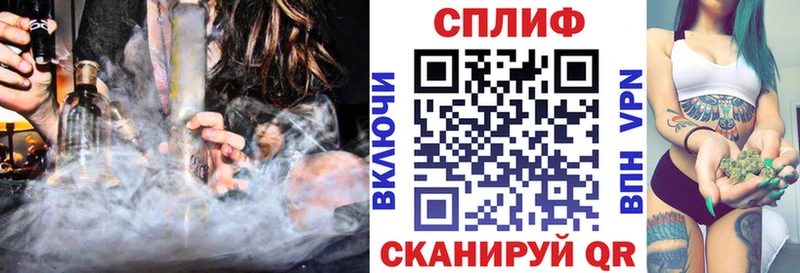 как найти Благодарный Бошки Шишки семена